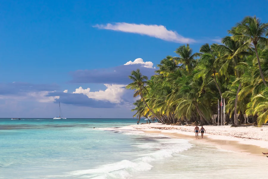 Palm trees and beach in the Dominican Republic.